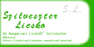 szilveszter licsko business card